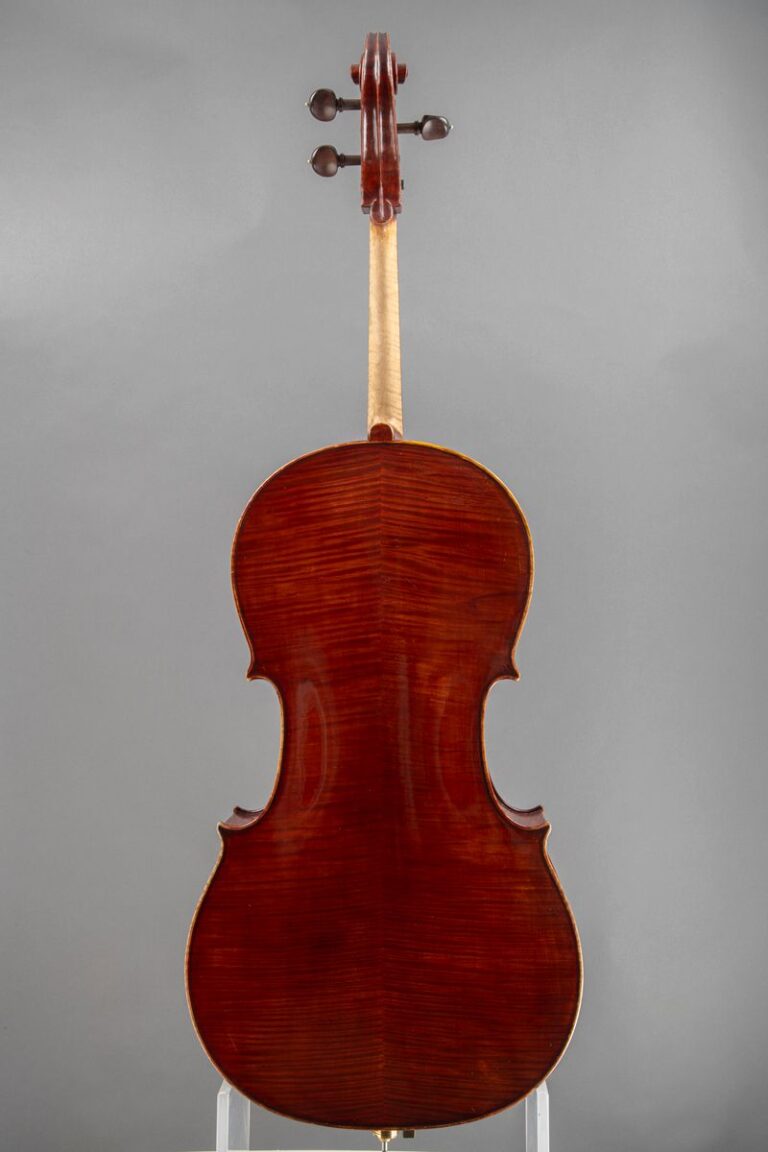 P1gDWoB9