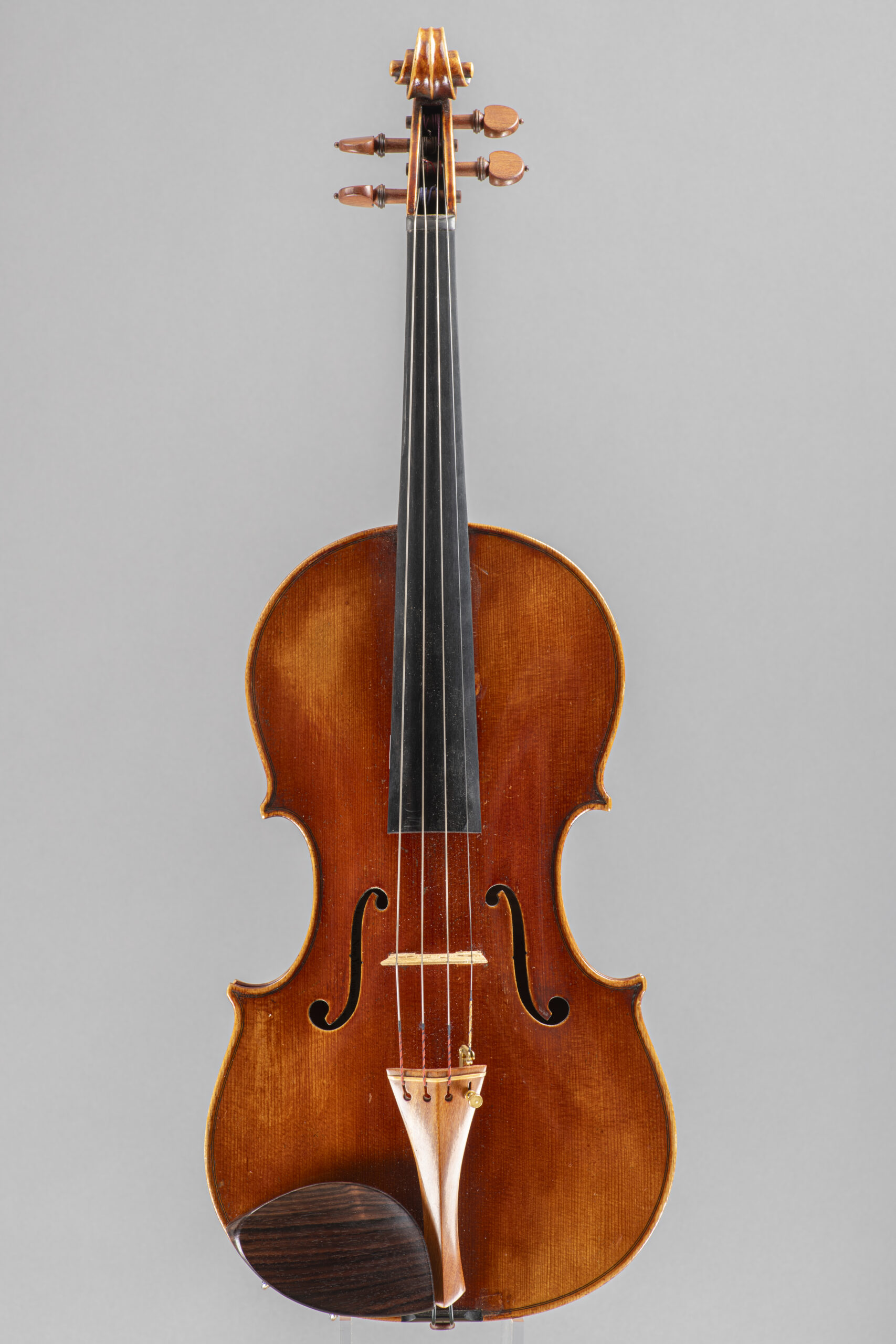 A vertical studio portrait of a wooden violin featuring a rich, dark varnish, an ebony fingerboard, and a contrasting light-colored tailpiece, all set against a neutral grey background.