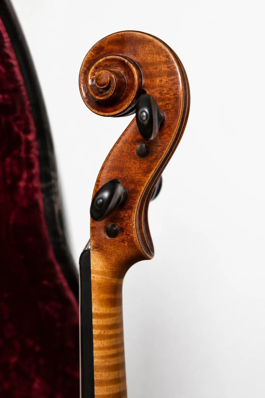 Close-up of the refined varnish and elegant modeling on a fine Paris-style French violin