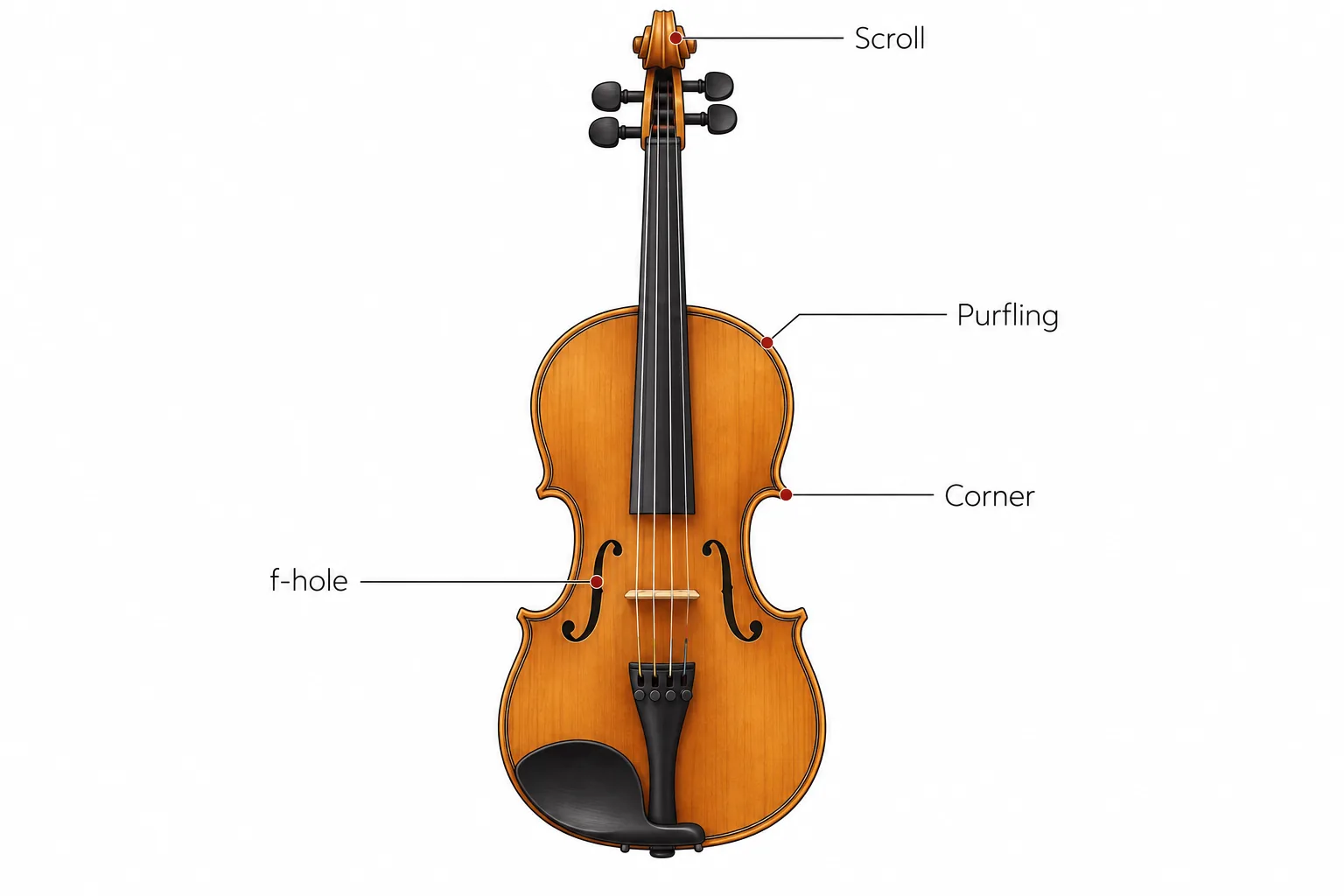 Violin anatomy diagram labelling the four workmanship checkpoints: scroll, purfling, corner and f-hole